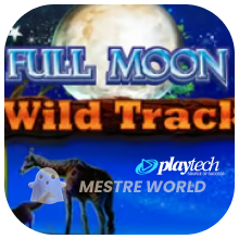 PLAYTECH119